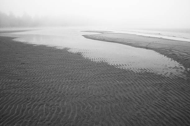 istock Beach at Pacific Rim National Park. Vancouver. Canada 530459327