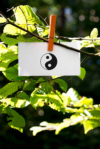 istock Yin and yang symbol on a white card 530459849