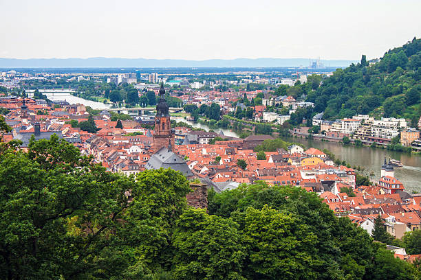 istock Aerial view of Heidelberg 530460561