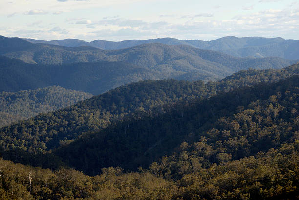 istock D'Aguliar Ranges Queensland Australia 530462743