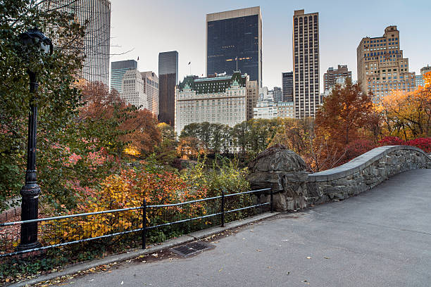 istock Gapstow bridge Central Park, New York City 530465805