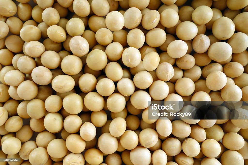 Soybeans Shot of soybeans from directly above – studio shot. Close-up Stock Photo