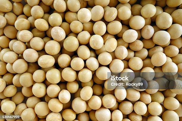 Soybeans Stock Photo - Download Image Now - Close-up, No People, Soybean
