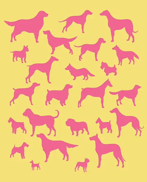 Vector illustration of Variety of Dogs