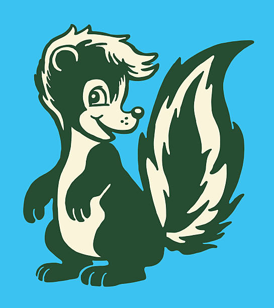 ładny skunk - skunk stock illustrations
