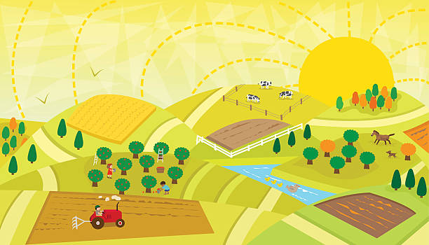 Rural Landscape Aerial view of a rural landscape with fields, orchard, river, animals and people. Eps10 patchwork landscape stock illustrations
