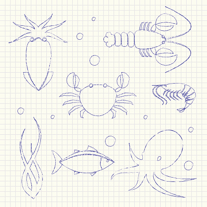 Collection of seafood icons in doodle style on paper sheet