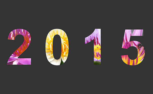 istock Year 2015 Lotus Flower 530472853