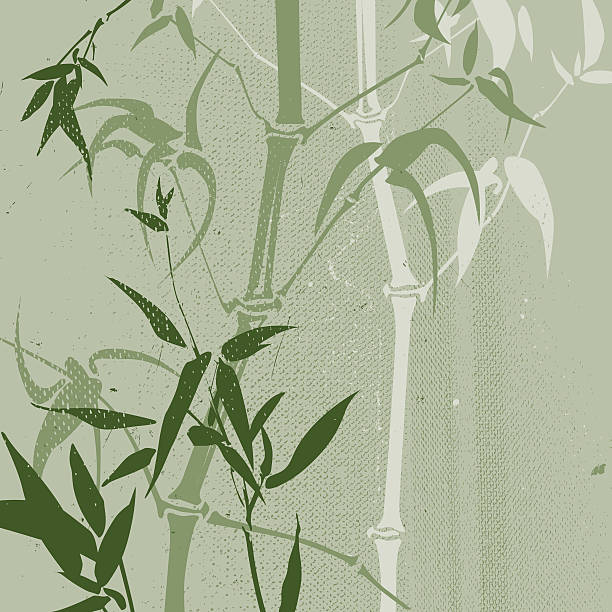 Chinese bamboo grove (Grunge style) Decorative, Chinese bamboo grove in a dusty green grunge style. This moody image can be used as background image. bamboo background stock illustrations