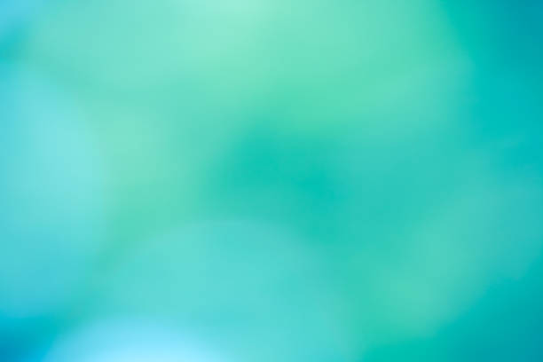 istock Soft and dreamy bokeh nature background pastel green and blue 530481009