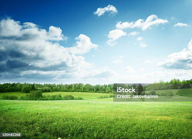 Campo De Hierba Y Cielo Perfecto Foto de stock y más banco de imágenes de Paisaje no urbano - Paisaje no urbano, Cielo, Campo - Tierra cultivada