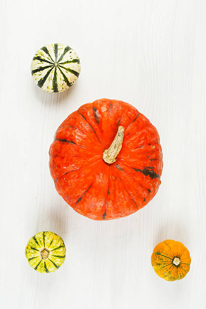 small and big pumpkin