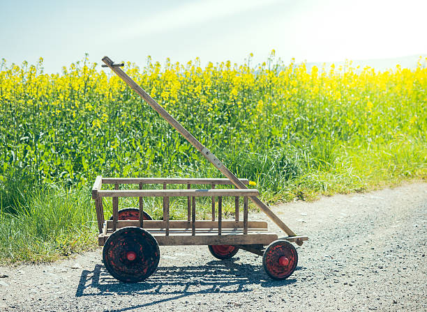 istock handcart on a dirt road 530482412