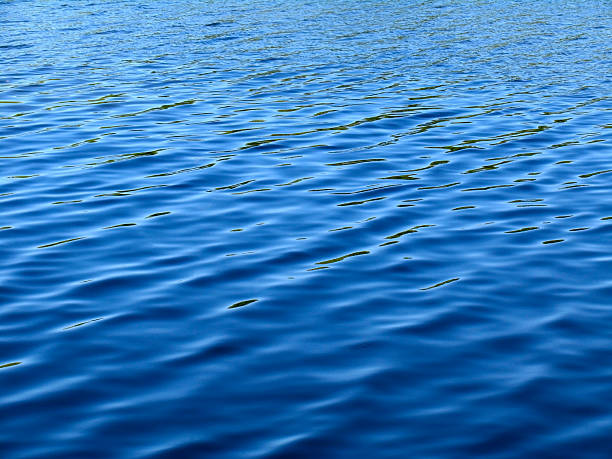 istock Waves on surface of water 530482755