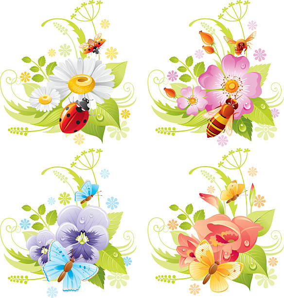 ilustrações, clipart, desenhos animados e ícones de quatro estações : conjunto de bandeira de verão - gladiolus flower floral pattern single flower