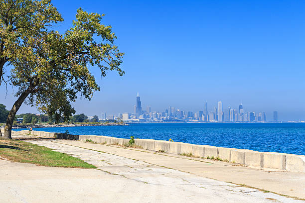 Chicago Promenade Skyline View of the Lake Michigan promenade in Hyde Park with the downtown Chicago skyline in the distance. clear sky usa tree day stock pictures, royalty-free photos & images
