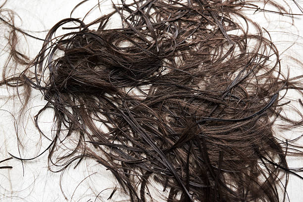 istock cutted hair on the floor 530483410