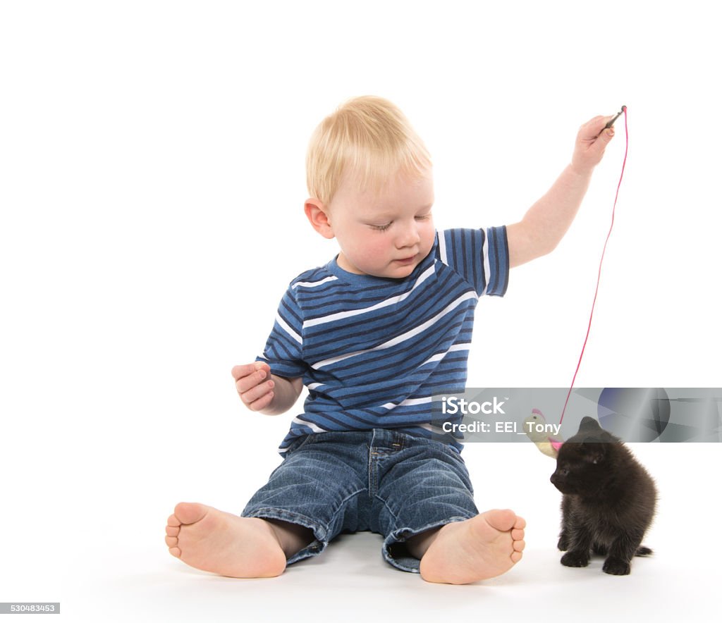 boy crying Portrait of 2-year-old blond boy with striped shirt playing with kitten on white background 2-3 Years Stock Photo