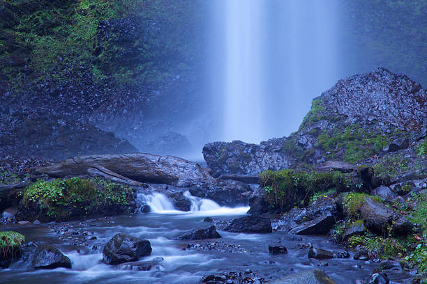 istock Latourell Falls in the columbia river gorge 530483824