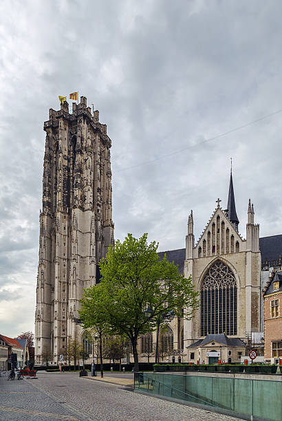 istock St. Rumbold's Cathedral, Mechelen, Belgium 530483858
