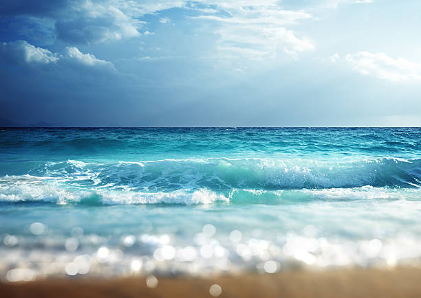 пляж в закат время, наклон сдвиг мягкость - tilted horizon стоковые фото и изображения