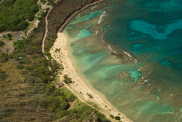 istock Aerial view of Beach 530486568