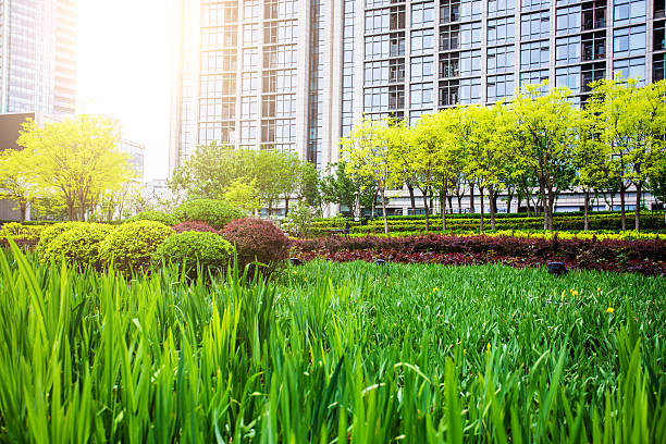 istock office building and city park 530487990