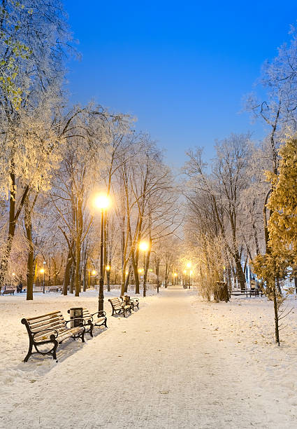 istock Footpath in a fabulous winter city park 530489439