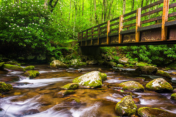 istock Cascades and walking bridge over the Oconaluftee River, at Great 530489605