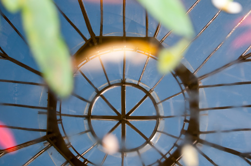 Ceiling of a conservatory being reflected on the water surface of a pond