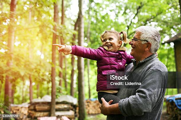 Little Girl Showing Her Grandfather Something In Forest Stock Photo - Download Image Now