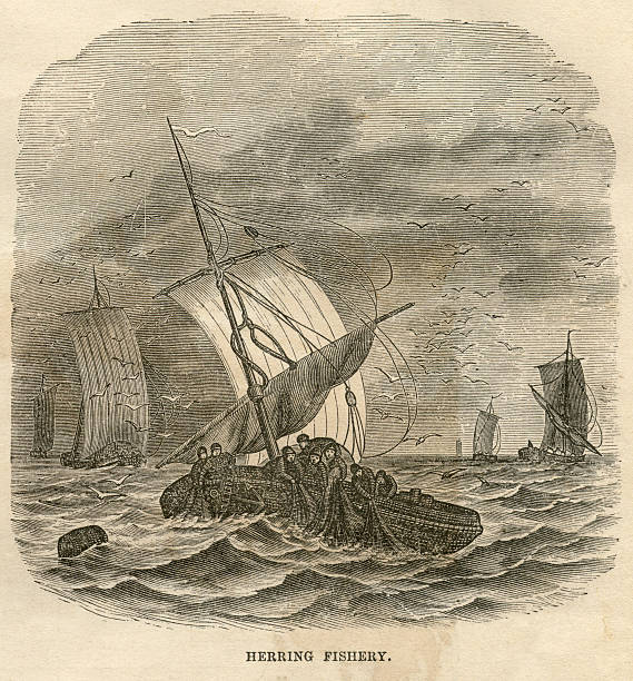 istock Fishermen Net Fishing on Boat, Antique 1871 Illustration 530491258