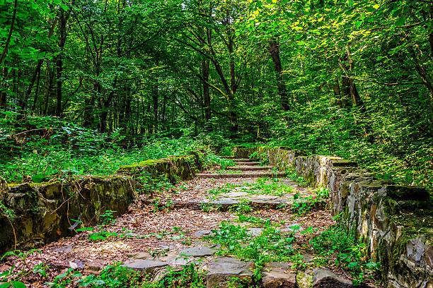 istock stone steps through the park with foliage 530491674