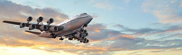 istock modern passenger airplane - flight in sunset panorama 530491876
