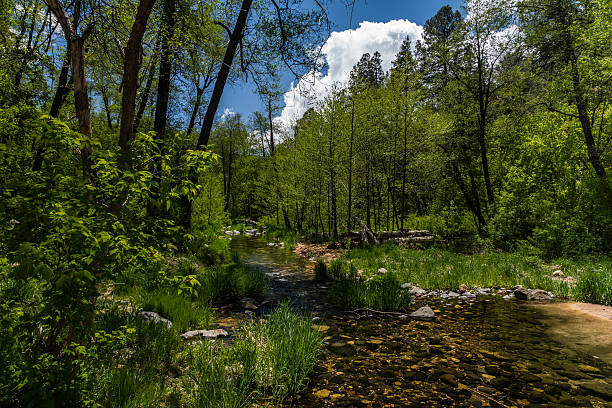 istock Wind, Water, Red Earth and Sedona 530492190