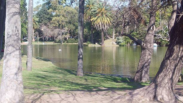 istock High Park in Toronto - Canada. 530492245