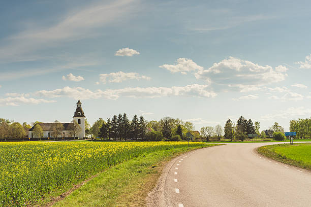 istock Rural landscape in Sweden 530492578
