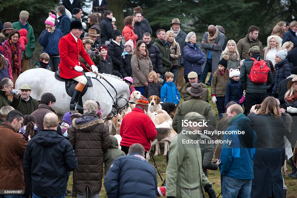 Red Coat Huntsman among a group of hunt supporters Cirencester, England - December 26, 2014: Red Coat Huntsman among a group of hunt supporters at the annual Boxing Day Hunt gathering in Cirencester Park. The red coat is worn by hunt staff, male Masters and men who have been given their hunt button.The red coat is worn by hunt staff, male Masters and men who have been given their hunt button Animal Cruelty Stock Photo