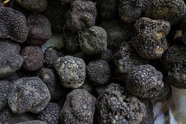 istock Truffles in a Basket for Sale 530494964