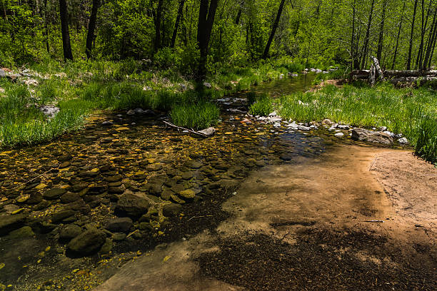 istock Wind, Water, Red Earth and Sedona 530498750