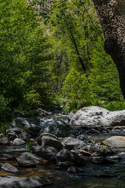 istock Wind, Water, Red Earth and Sedona 530501442