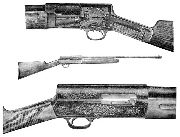 ilustrações, clipart, desenhos animados e ícones de rifle - illustration and painting rifle hunting old fashioned