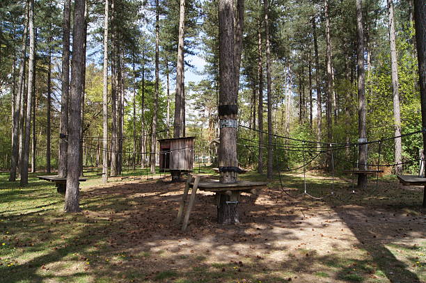 istock Nationaal Park De Meinweg 530502145
