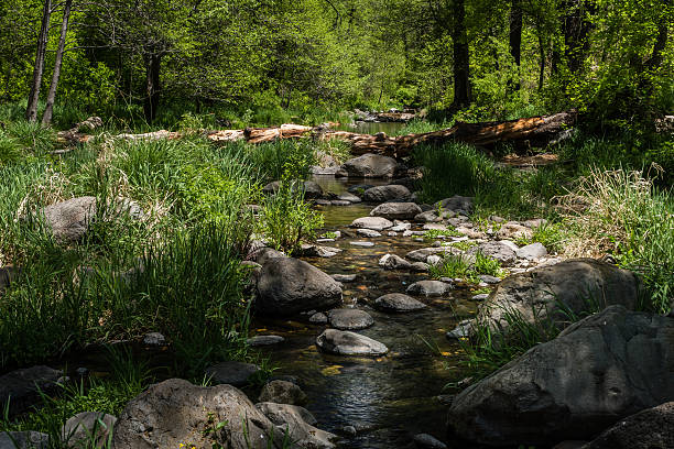 istock Wind, Water, Red Earth and Sedona 530503538