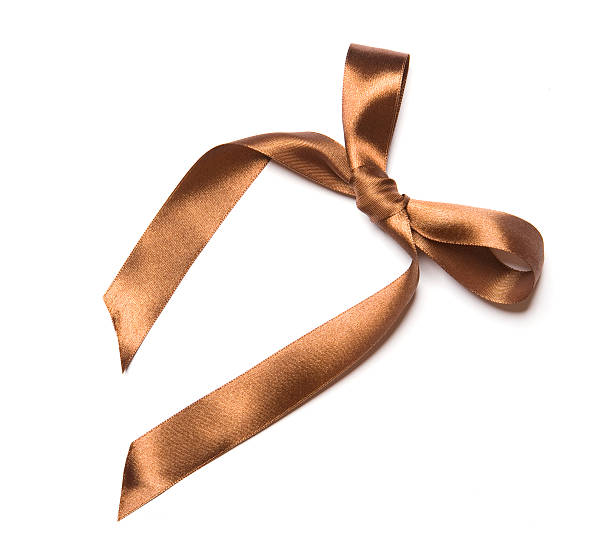 istock Shiny brown satin ribbon and bow on white background 530503839