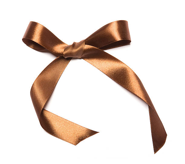 istock Shiny brown satin ribbon and bow on white background 530503843