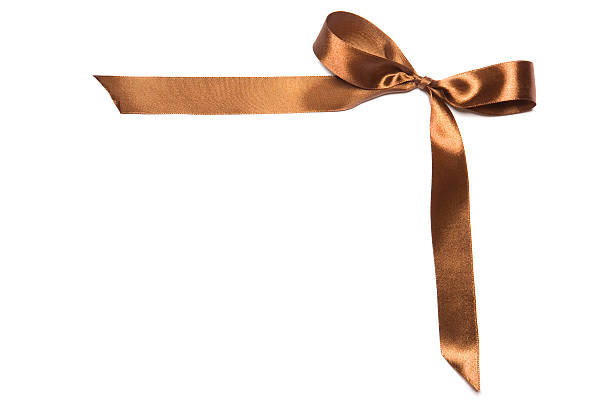 istock Shiny brown satin ribbon and bow on white background 530503851