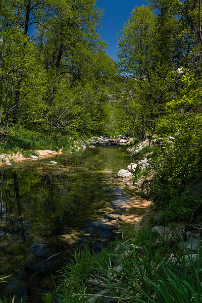 istock Wind, Water, Red Earth and Sedona 530505364