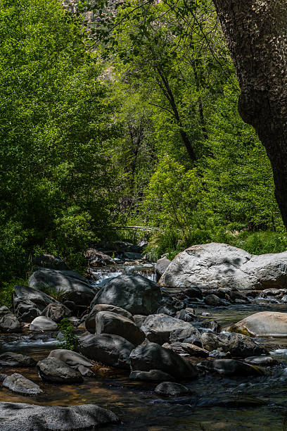 istock Wind, Water, Red Earth and Sedona 530505500
