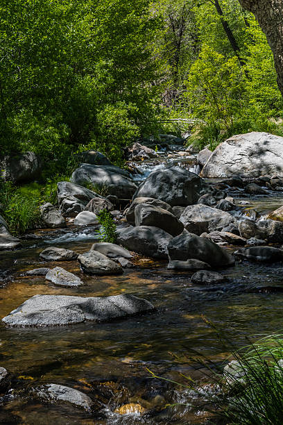 istock Wind, Water, Red Earth and Sedona 530507064